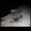 foto0198