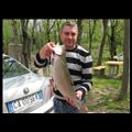 foto0228