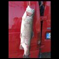 foto0334