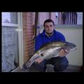 foto0337